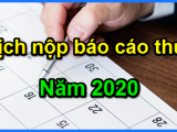 Thời hạn nộp các loại tờ khai thuế